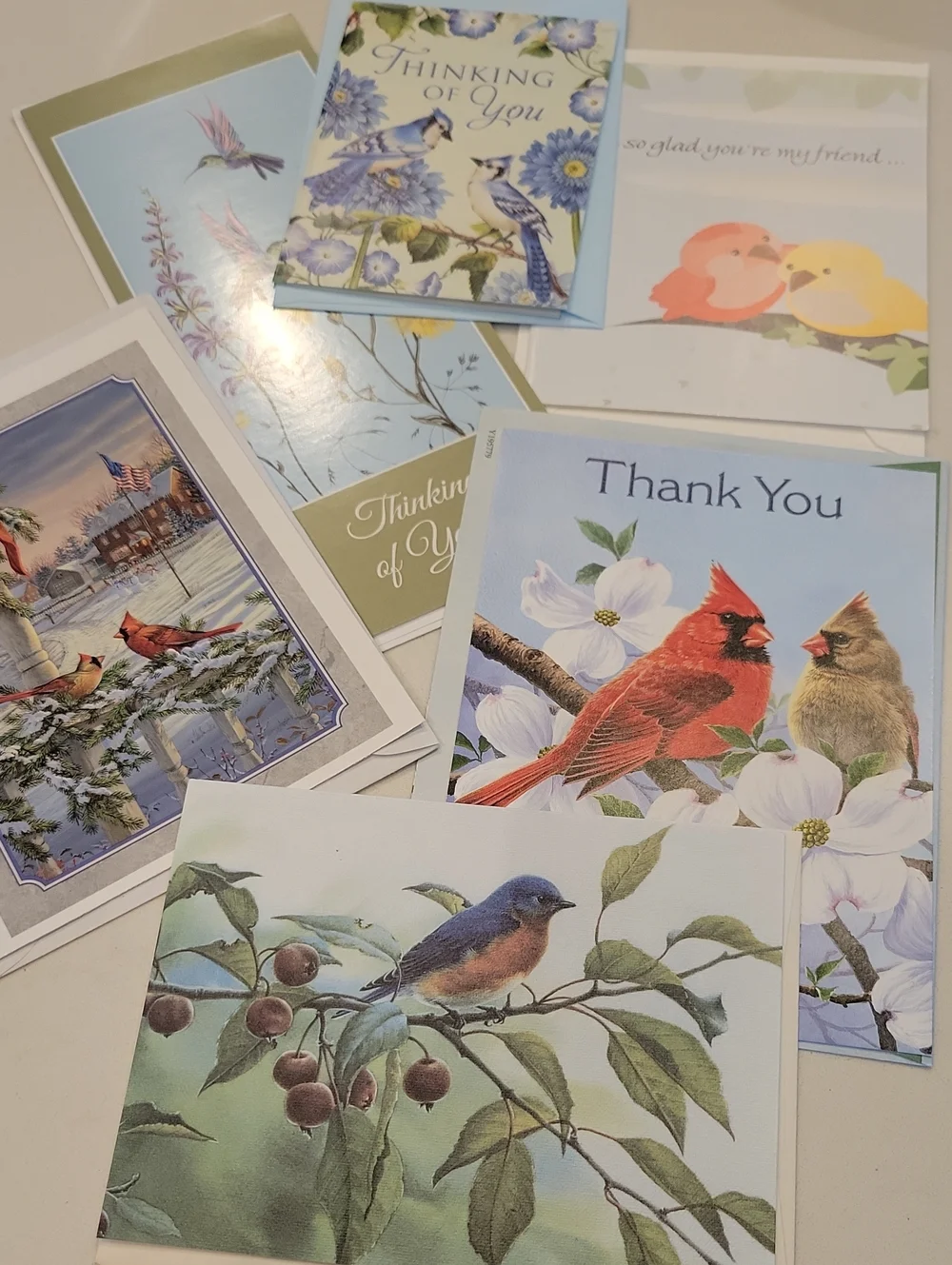 New! Assorted Bird Card Bundle